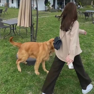 少爷返乡